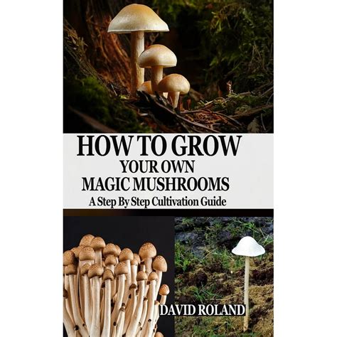 The Ultimate Guide to Growing Magic Mushrooms with eBay's Help